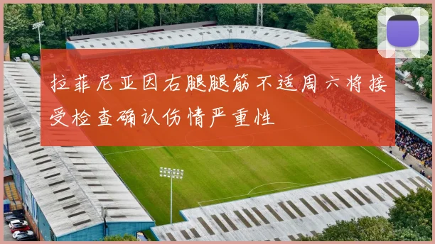 拉菲尼亚因右腿腿筋不适周六将接受检查确认伤情严重性
