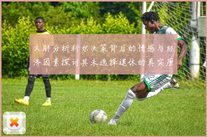 文胖分析科尔决策背后的情感与经济因素探讨其未选择退休的真实原因