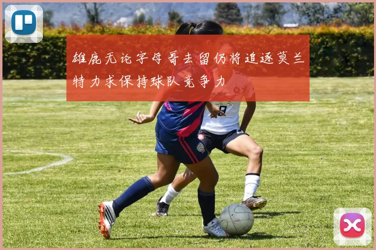 雄鹿无论字母哥去留仍将追逐莫兰特力求保持球队竞争力