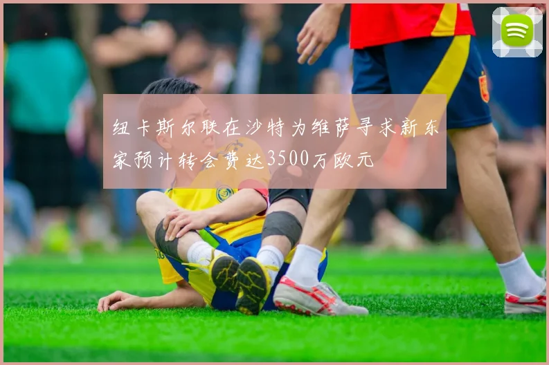 纽卡斯尔联在沙特为维萨寻求新东家预计转会费达3500万欧元